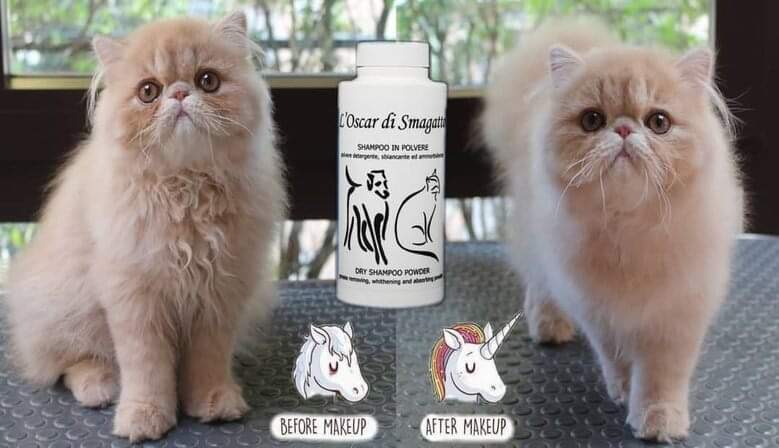 La magie du shampoing sec pour chien et chat Unicorn powder